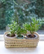 Woven Palm Fiber Sneakers | Handmade Storage Basket | 32x24x10 cm
