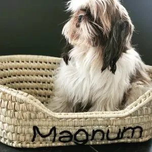 🐱🐶 Cat or Small Dog Basket