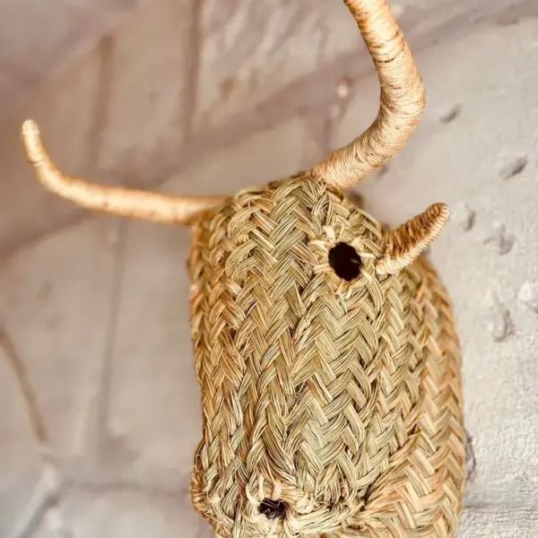 Anouck Concept Decoration: Adopt 'camargue' Elegance 🐂