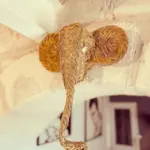 Anouck Concept Decoration: Embark On A 'safari' Journey