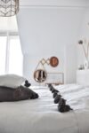 Pom Pom Wool Throw Blanket – Handwoven Moroccan Blanket