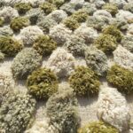 Nabba – Sage Green Checkered Moroccan Shag Rug | Luxury Beni Mrirt Wool Rug