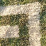 Mouassine – Checkered Olive Green Moroccan Rug | Ultra Soft Beni Ourain Wool Rug