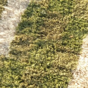 mataha-sage-green-checkered-moroccan-rug-6×10-beni-ourain-ultra-soft-authentic-berber-wool-beni-rug-653×1037-ft-199×316-cm-4187914 (1)
