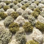 Nabba – Sage Green Checkered Moroccan Shag Rug | Luxury Beni Mrirt Wool Rug