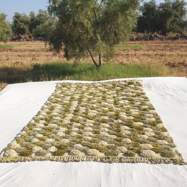 Nabba – Sage Green Checkered Moroccan Shag Rug | Luxury Beni Mrirt Wool Rug
