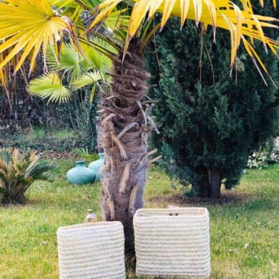 544fb19db5213e26cca7e6d2c2dff3cf8723668be157318d929789a5a9f0abc2-1.jpeg Duo of Palm Fiber & Leather Baskets | Handwoven Moroccan Wall Storage