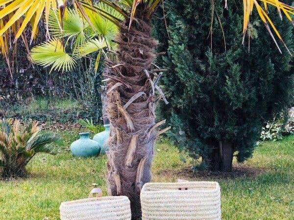 Duo of Palm Fiber & Leather Baskets | Handwoven Moroccan Wall Storage
