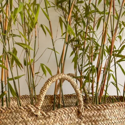 Raffia Baskets