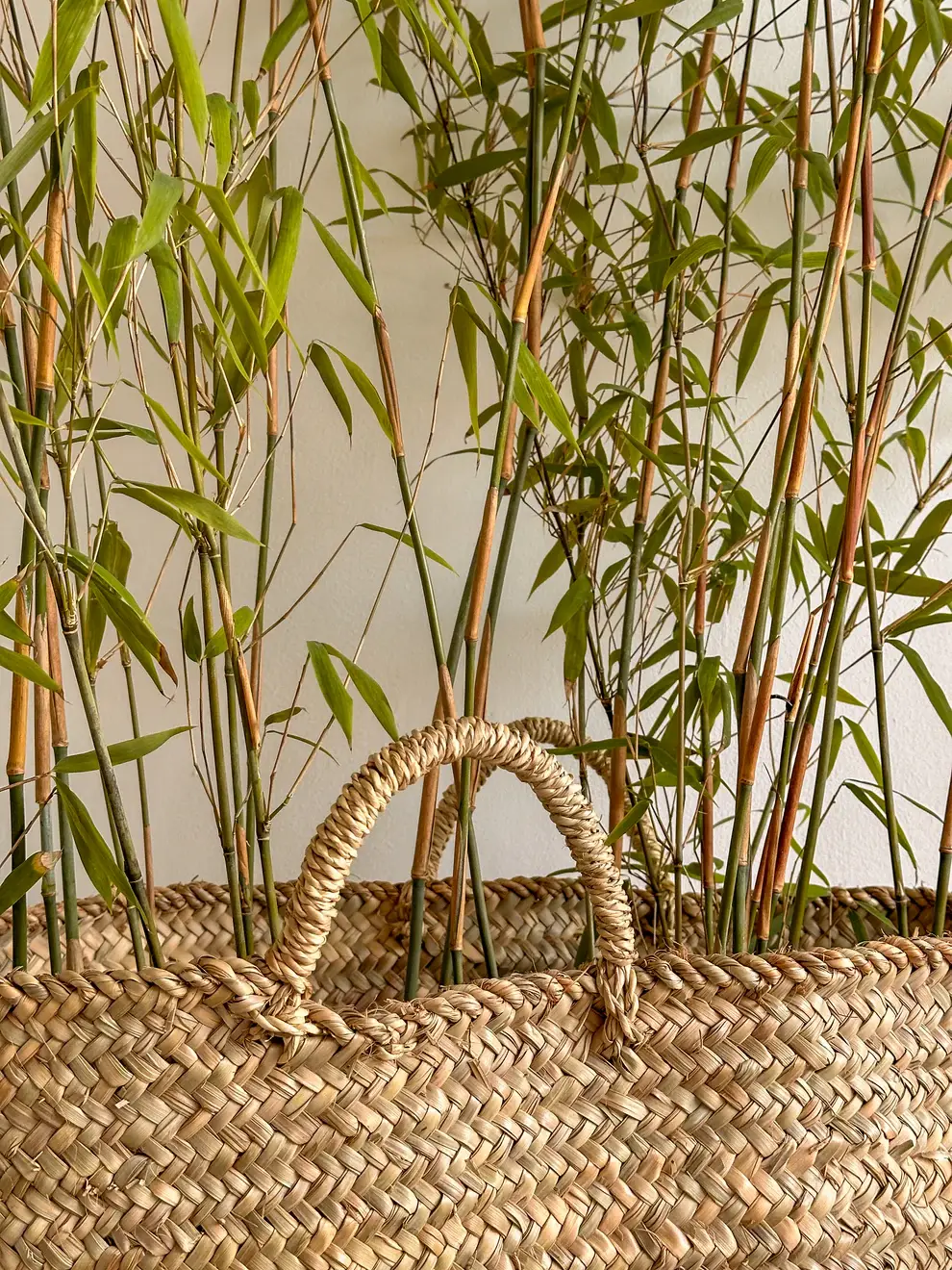 Raffia Baskets