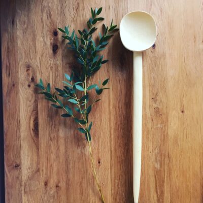 Louche en Bois de Citronnier