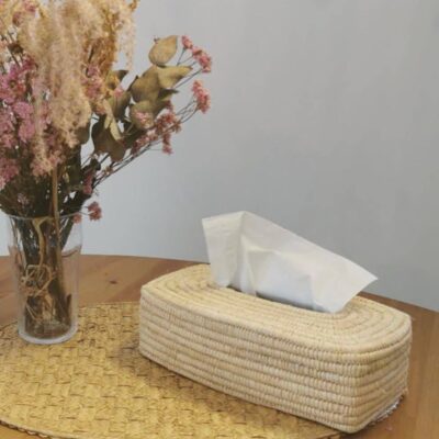 🤧 Raffia Tissue Box Cover 🌸