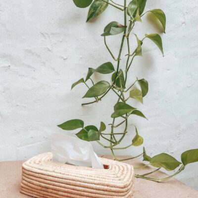 Handwoven Raffia Tissue Box Cover – Boho Natural Home Decor